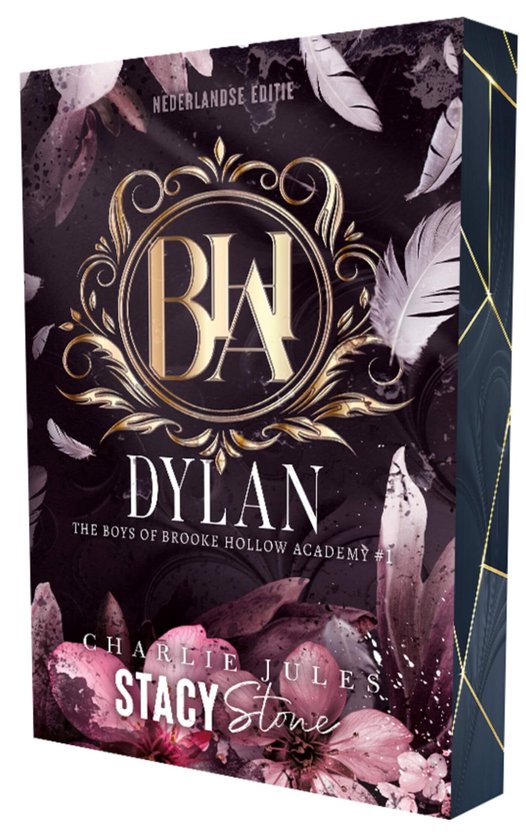 The boys of Brooke Hollow Academy 1 - Dylan - cover