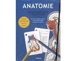 Omslag van Anatomie - Gids en kleurkaarten voor zelfstudie