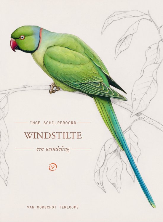 Cover van "Windstilte": een groen met blauwe halsbandparkiet zit op een tak, met potloodschetsen van bladeren op de achtergrond. Tekst: Inge Schilperoord, WINDSTILTE, een wandeling.