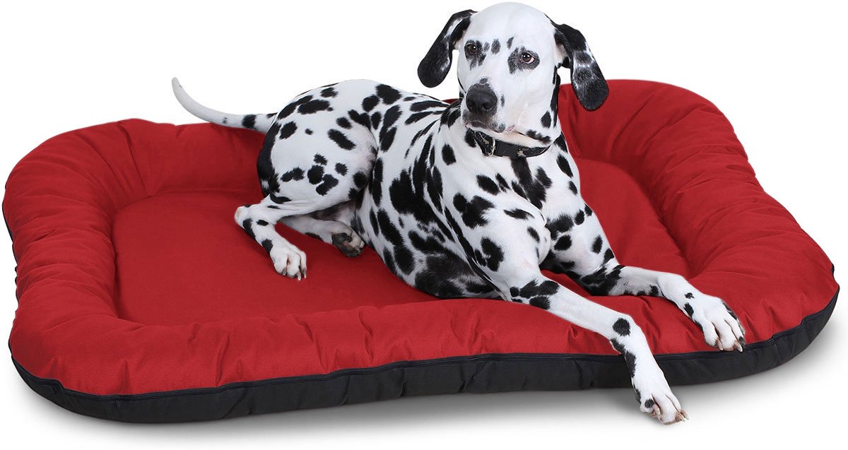 Knuffelwuff waterbestendig hondenbed voor binnen en buiten Lucky L 70 x 46cm rood