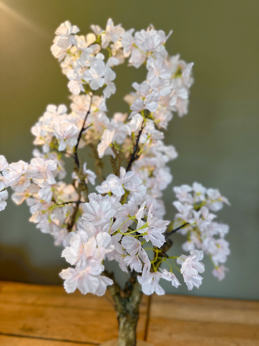 Seta Fiori - Kunst bloesemboom – Kunstboom – zacht roze – 75cm – Voor Binnen – Nieuwe Fluffy - Sakura