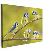 Tableau extérieur jardin 70x50 cm - Décoration de jardin Vogel - Pimpelmees - Branches - Soleil - Poster jardin sur toile - Décoration murale Jardin - Décoration tableau extérieur - Décoration murale clôture - Toile extérieur