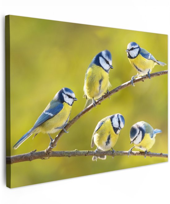 Vijf pimpelmezen met blauwe en gele veren zitten op een tak, scherp in beeld met een groene achtergrond.
