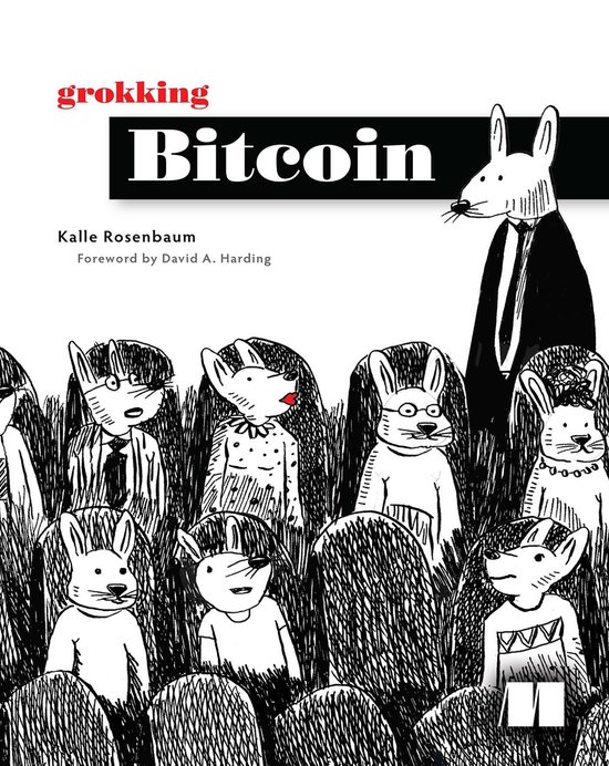 Grokking Bitcoin - cover