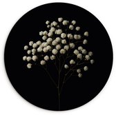 WallCircle® Wandcirkel 60x60 cm - Muurcirkel Gipskruid - Bloemetjes - Wit - Minimalistisch - Muurdecoratie woonkamer - Wanddecoratie slaapkamer - Kamer decoratie accessoires - Ronde schilderijen