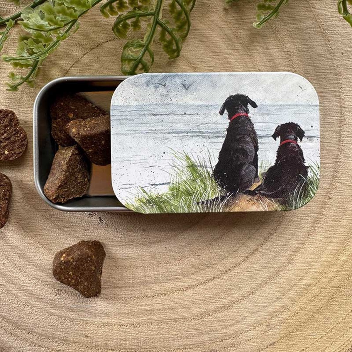 Alex Clark Sliding little Tin Dunes ~ Langwerpig klein opbergblikje Honden