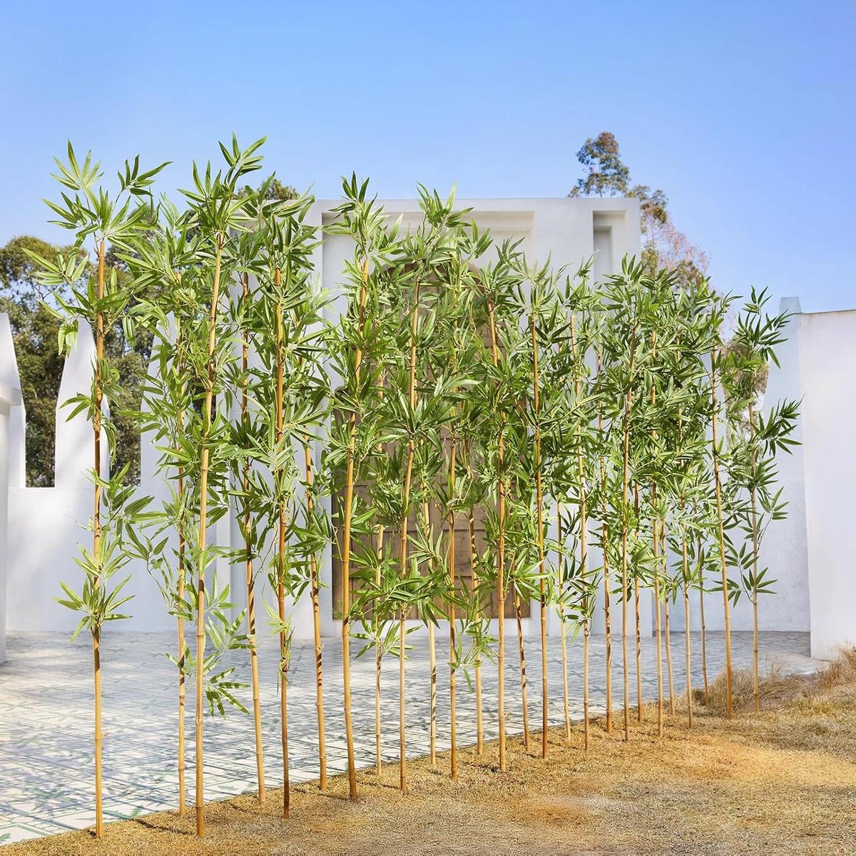 Provento Kunstbamboe 180 cm voor binnen en buiten - Grote kunstplant met natuurlijke stam - UV-bestendig - Decoratie kantoor tuin Groen
