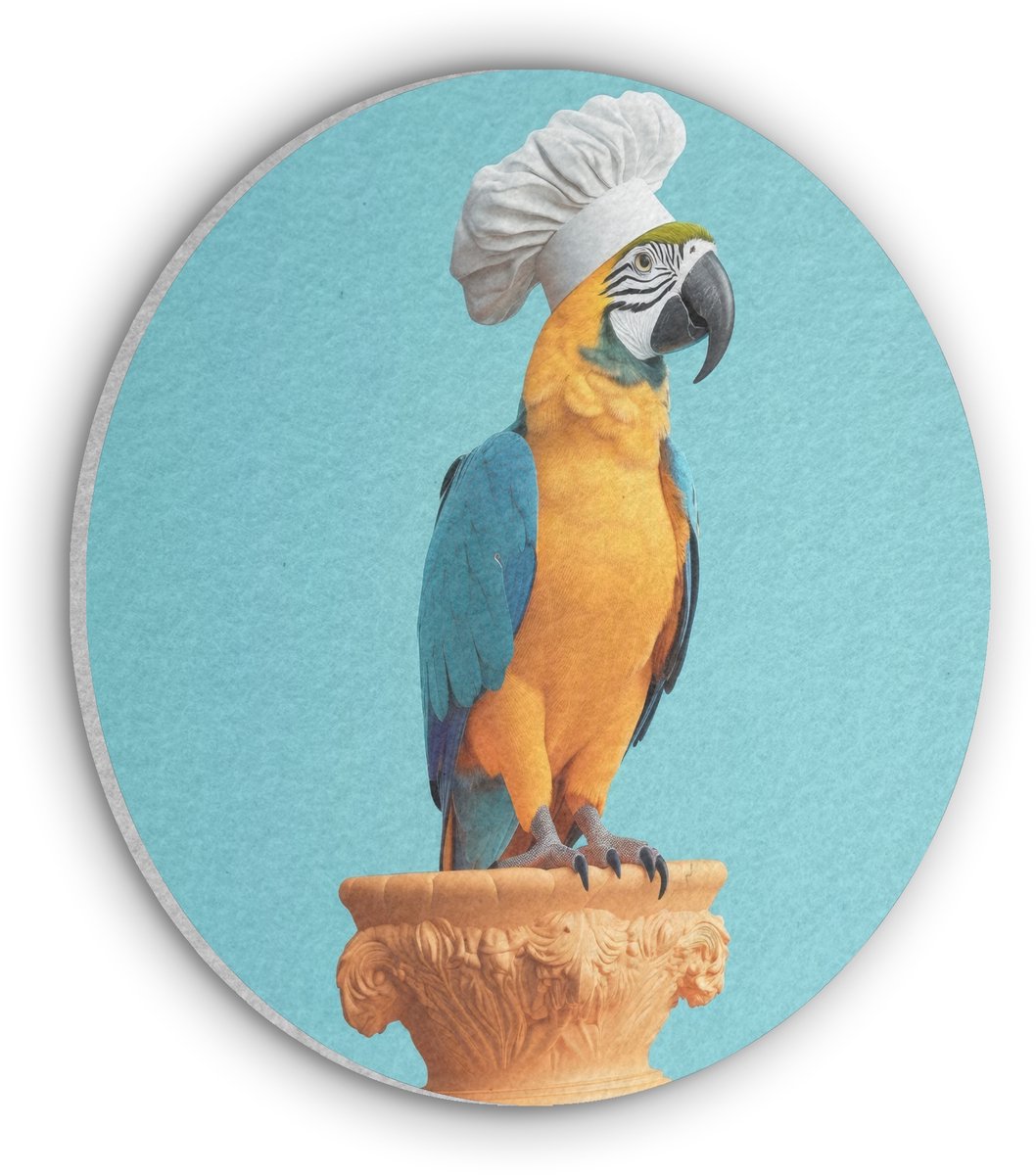 Akoestisch wandpaneel rond 30x30 cm - Vilt schilderij Papegaai - Koksmuts - Grappig - Vogel - Ronde akoestische panelen - Geluidsdempende wanddecoratie - Geluidsisolatie wandcirkel - Muurdecoratie geluidspanelen