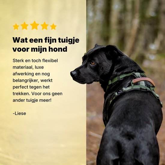 Zwarte hond met groen hondentuigje, met een tekstreview over het sterke en flexibele materiaal.