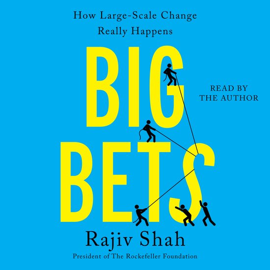 Big Bets - cover