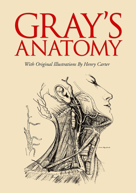Gray's Anatomy - cover
