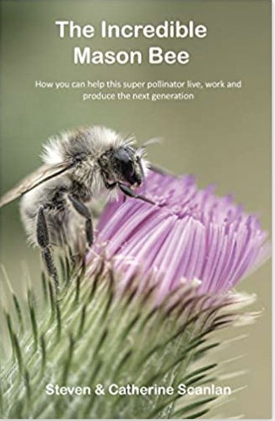 Mason Bee 1 - Incredible Mason Bee - cover
