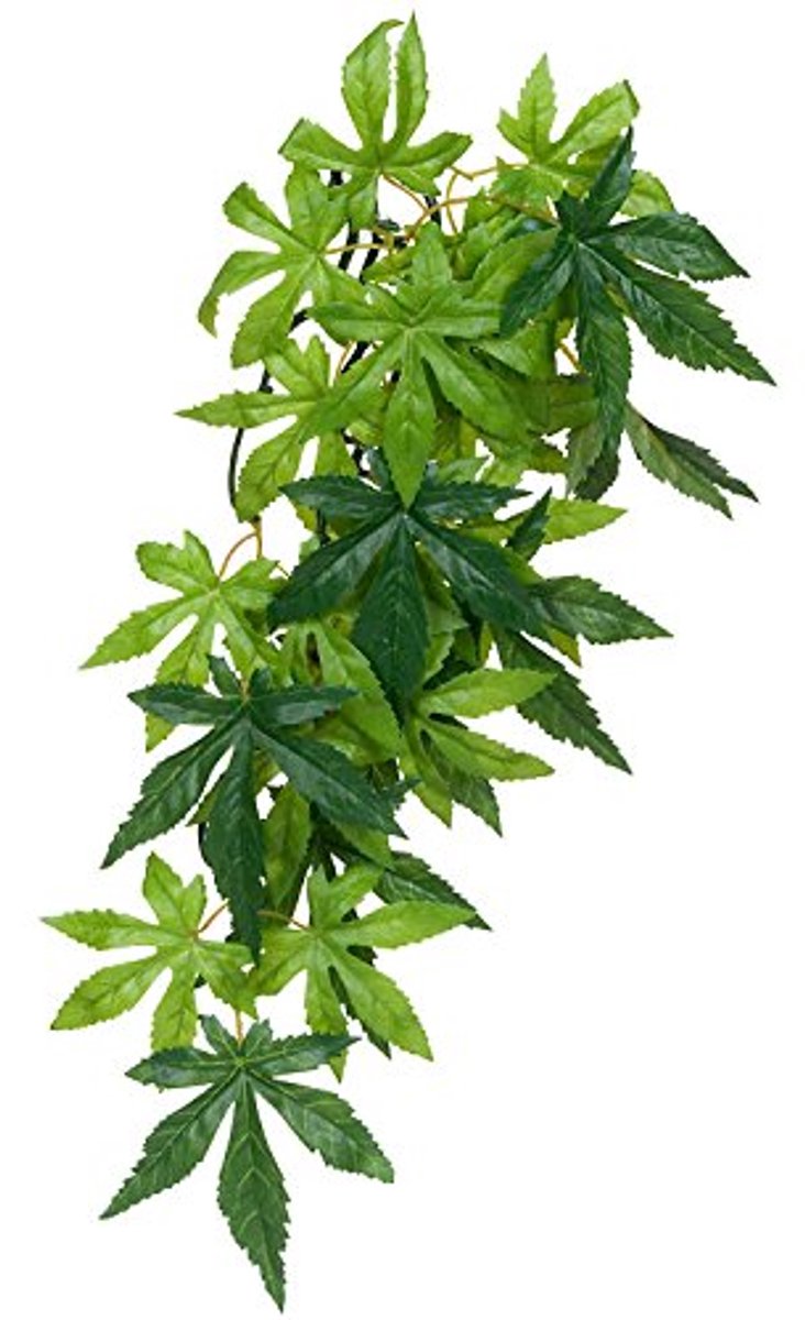 Hangende Regenwoudplant van Zijde - 32 cm