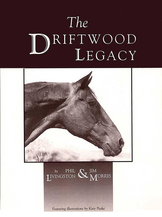 The Driftwood Legacy - cover