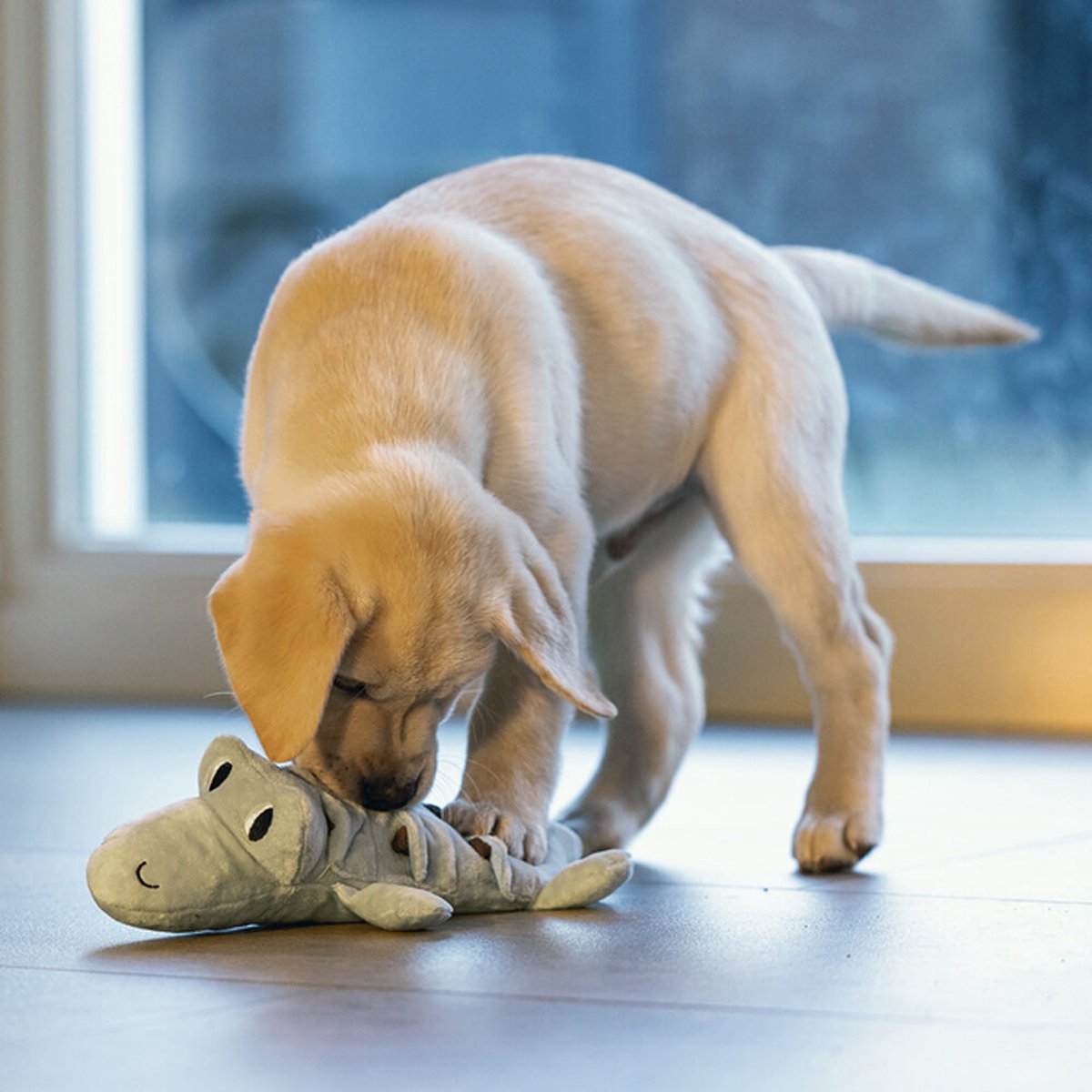 Beeztees Puppy Krokodil Jake - Hondenspeelgoed thumbnail 6
