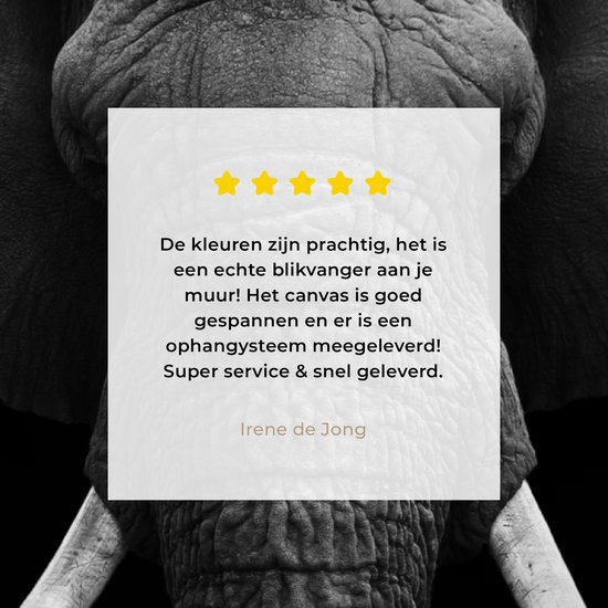 Toile - Animaux - Éléphant - Zwart - Wit - Décoration Décoration murale - 160x120 cm - Photo sur toile - Peintures sur toile salon