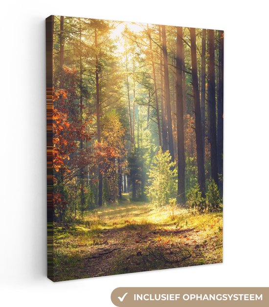 Tableau sur toile Forêt d'automne - Arbres - Lumière - Nature - Peintures sur toile - 90x120 cm - Décoration murale