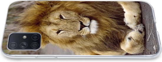 Coque Samsung Galaxy A51 - Lion - Afrique - Animal - Siliconen