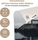 Afbeelding nummer  10