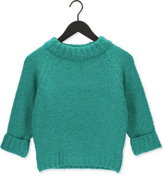 Penn & Ink Pullover 3/4 Truien & vesten Dames - Sweater - Hoodie - Vest- Groen - Maat L