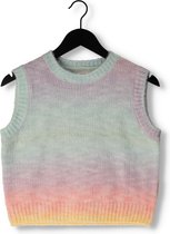 AO76 Di Sleeveless C-neck Truien & Vesten Meisjes - Sweater - Hoodie - Vest- Multi - Maat 128