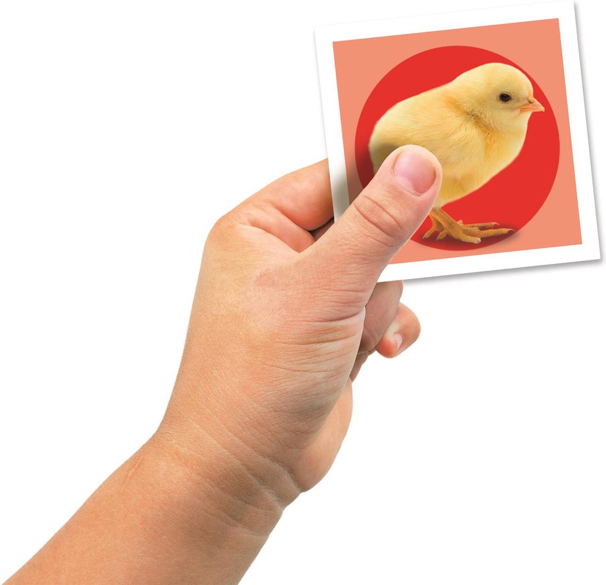 Clementoni - Memory voor kinderen - Baby Dieren - 48 Kaarten - Memory spel - Educatief Speelgoed - Vanaf 2 jaar — afbeelding 2