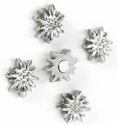 Trendform Magnet Edelweiss - set van 5