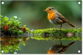 Tuinposter 60x40 cm - Tuindecoratie Roodborstje - Vogels - Natuur - Groen - Vogel - Poster voor in de tuin - Buiten decoratie - Schutting tuinschilderij - Tuindoek muurdecoratie - Wanddecoratie balkondoek