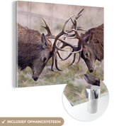 Peinture sur Verre - Cerf - Jouant - Bois - 80x60 cm - Peintures sur Verre Peintures - Photo sur Glas