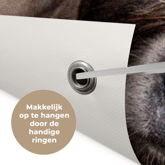 Poster de jardin Highlander écossais - Vache - Fourrure - 40x80 cm - Décoration murale Outdoor - Poster de jardin - Toile de jardin - Poster de clôture - Tableau de jardin