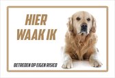Waakbord/ bord | "Hier waak ik" | 30 x 20 cm | Golden Retriever | Dikte: 1 mm | Gevaarlijke hond | Waakhond | Hond | Betreden op eigen risico | Polystyreen | Rechthoek | Witte achtergrond | 1 stuk