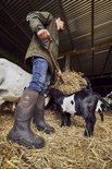 Laarzen van een boer in een stal, met geiten en stro. De laarzen zijn donkerbruin met een bruine stoffen schacht.