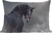 Buitenkussens - Paard - Grijs - Bruin - Dieren - Rook - 60x40 cm - Weerbestendig