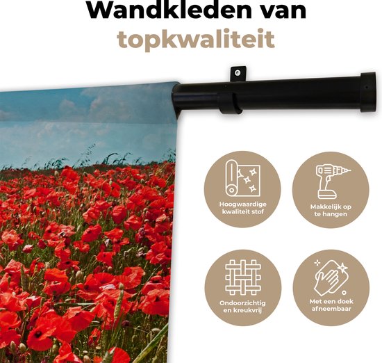 Tenture murale - Toile murale - Une prairie pleine de coquelicots - 60x60 cm - Tapisserie murale