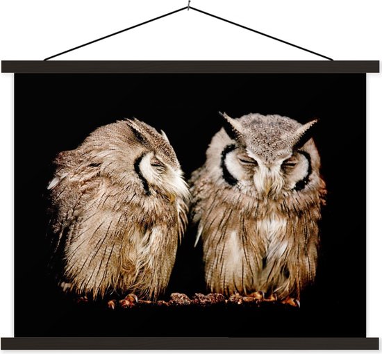 Megascops sur fond noir affiche textielposter lattes noires 60x45 cm