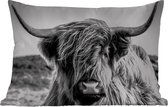 Buitenkussens - Tuin - Koe - Schotse hooglander - Zwart - Wit - Dier - Natuur - Wild - 50x30 cm