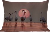 Buitenkussens - Tuin - Vogel - Flamingo - Zonsondergang - Roze - 50x30 cm