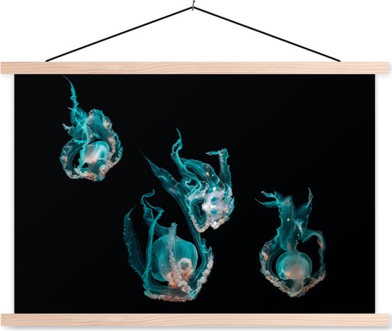 Support pour affiche avec affiche 150 x 100 cm - Affiche scolaire - Animaux aquatiques - Animaux marins - Zwart - Affiche textile - Lattes vierges