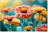 Tuinposter bloemen - Tuindecoratie gerbera - 180x120 cm - Tuindoek kleurrijk - Muurdecoratie voor buiten - Schuttingposter - Tuinschilderijen - Tuinwanddecoratie - Tuinversiering - Tuinposters