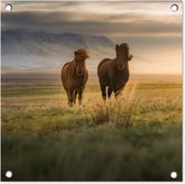 Tuinposters Paarden - Lucht - Gras - 50x50 cm - Tuindoek - Buitenposter