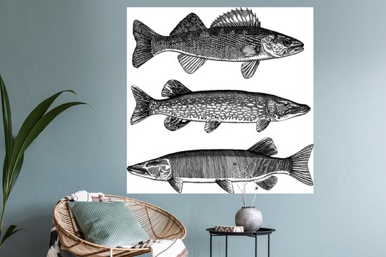 Sticker Muursticker Illustration Pêche - trois poissons - 120x120 cm - film adhésif autocollant - sticker mural repositionnable XXL /