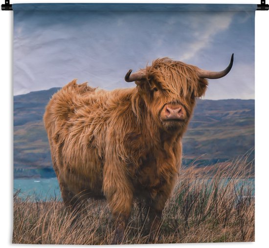 Tapisserie - Tissu mural - Highlander écossais - Ciel - Nature - 150x150 cm - Tapisserie