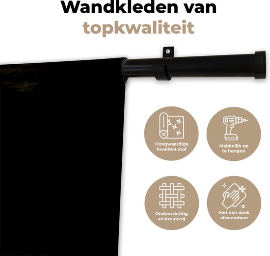 Tapisserie - Toile murale - Lion - Clair - Zwart - 180x135 cm - Tapisserie