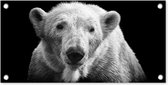Tuinposter Portretfoto ijsbeer op zwarte achtergrond in zwart-wit - 60x30 cm - Tuindoek - Buitenposter