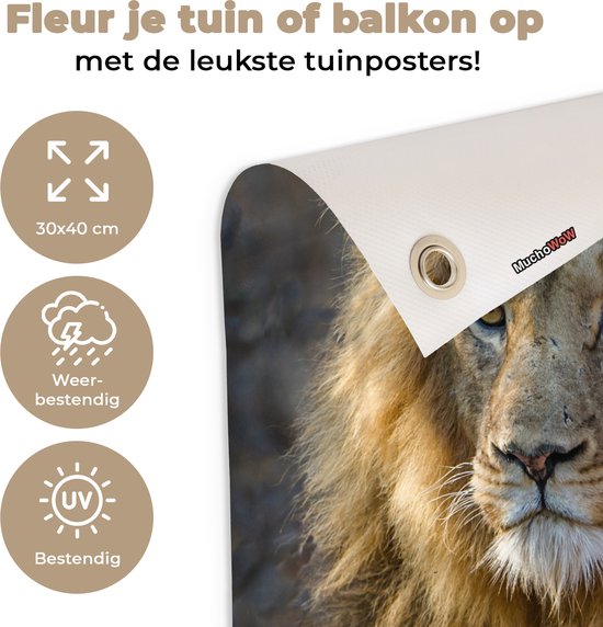 Décoration de Jardin Lion - Portrait - Sauvage - 30x40 cm - Toile de jardin