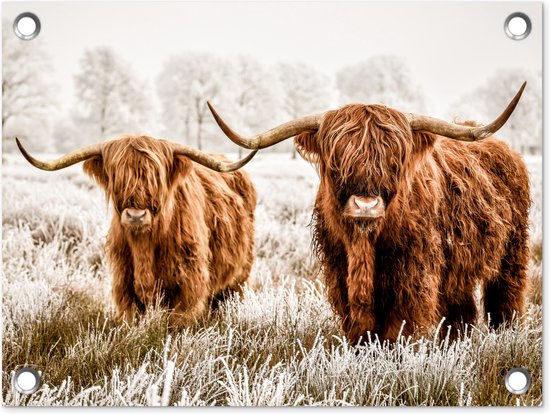 Tuin decoratie Schotse hooglander - Koe - Natuur - Winter - 40x30 cm - Tuindoek - Buitenposter