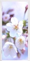 Sticker de porte Fleurs - Sakura - Branche - Branches fleuries - 95x215 cm - Poster de porte