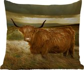 Tuinkussen - Schotse hooglander - Licht - Natuur - 40x40 cm - Weerbestendig