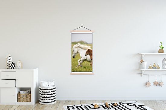 Support pour affiches avec affiche 60 x 120 cm - Affiche scolaire - Paarden - Animaux - Herbe - Affiche textile - Lattes vierges