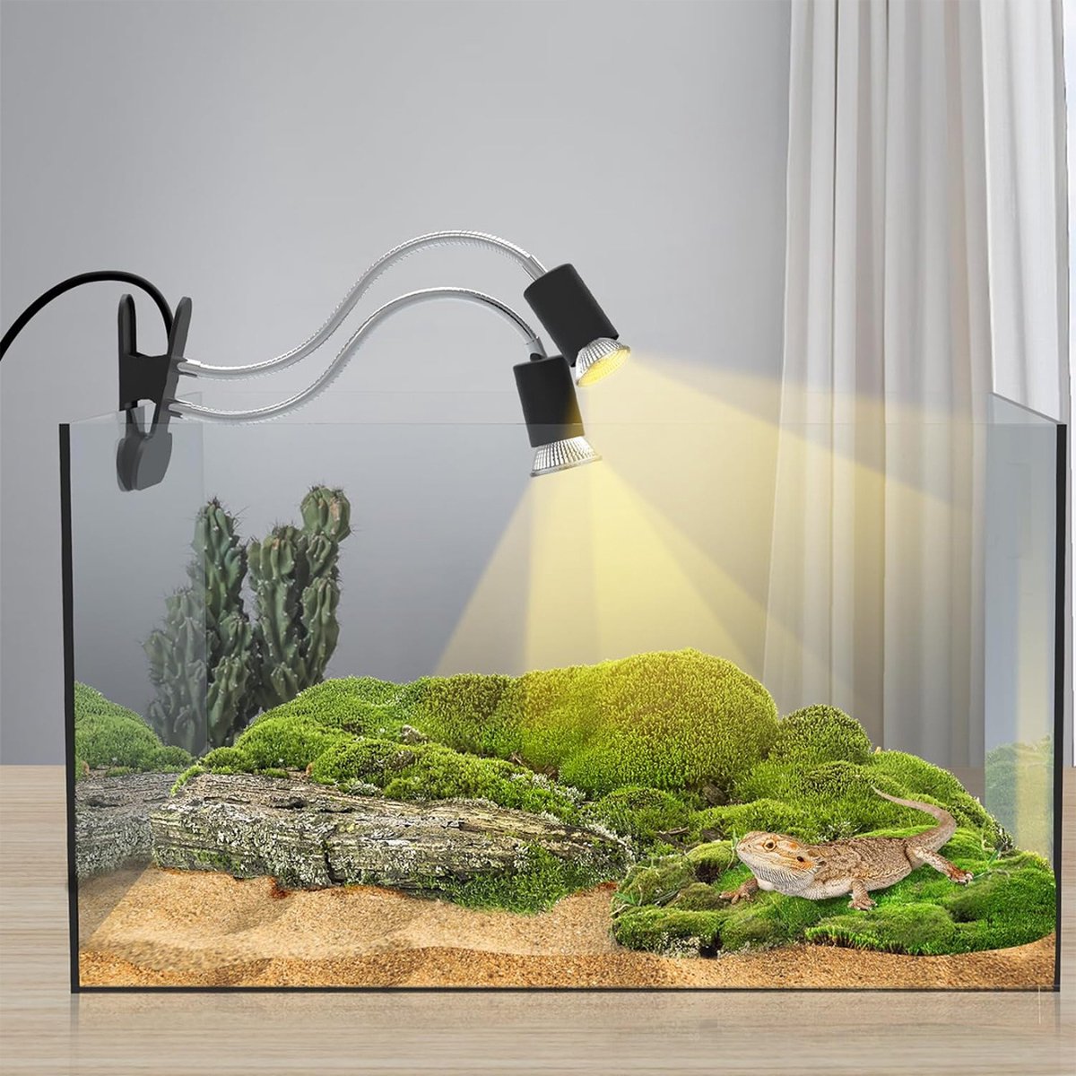 Warmtelamp kopen voor het terrarium? Arcadia Basking Solar Spot Lamp - 75 Watt | RSBS75 | 844046011282